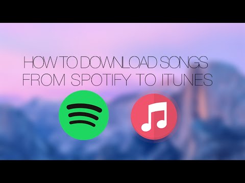 How Many Songs On Spotify Free